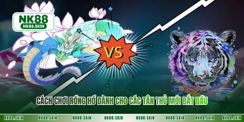 Cách chơi rồng hổ dành cho các tân thủ mới bắt đầu