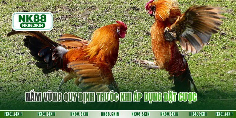 Nắm vững quy định trước khi áp dụng đặt cược