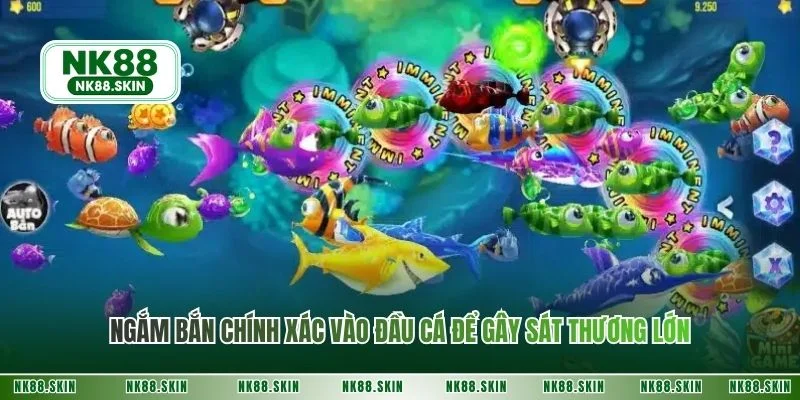 Ngắm bắn chính xác vào đầu cá để gây sát thương lớn